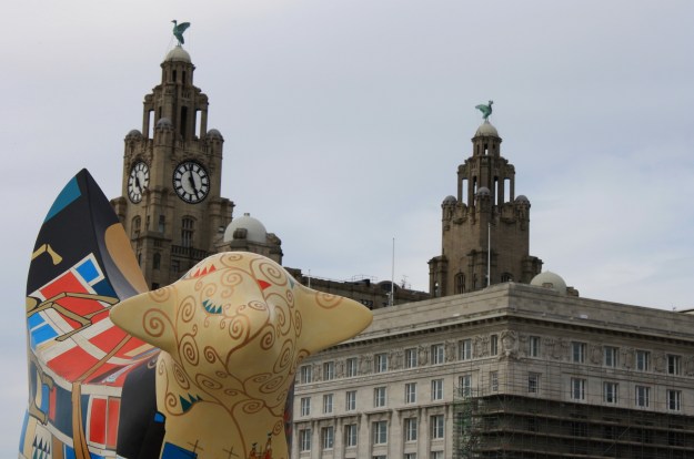 Liver Birds