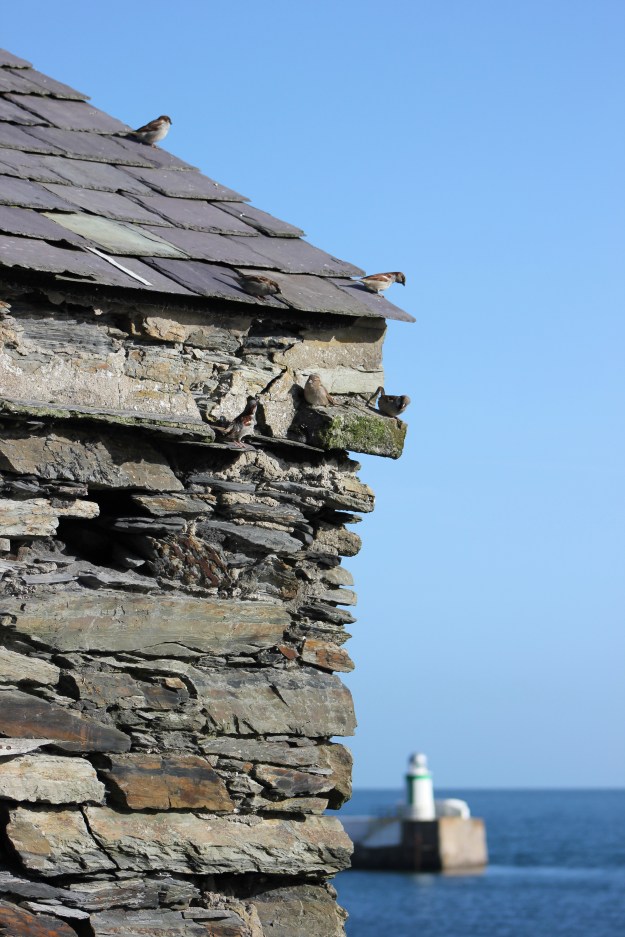 Lost in the details2