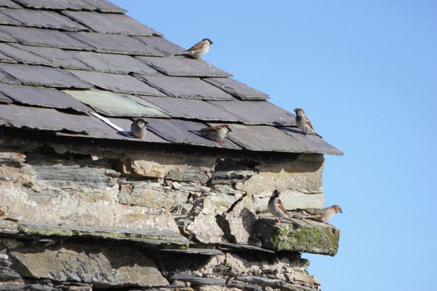 Lost in the details4