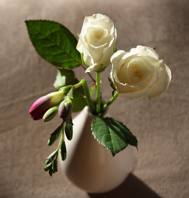 Freesia & white rose