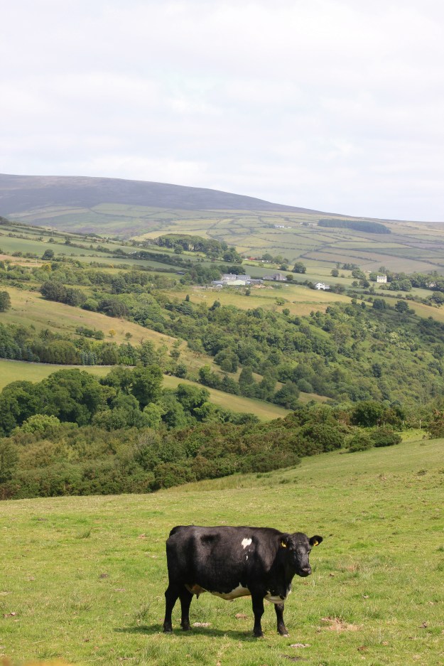 heart of the countryside2