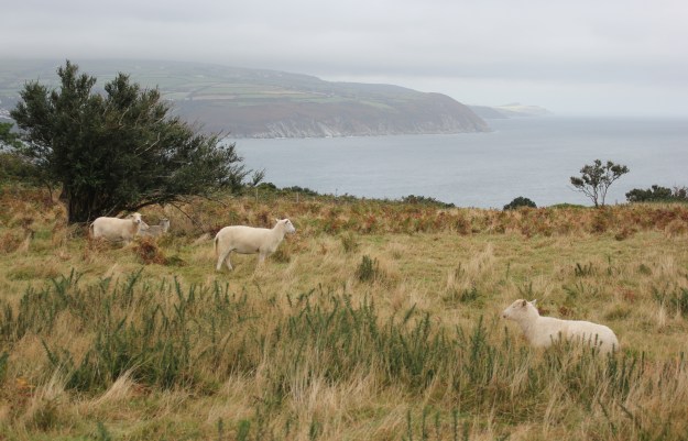 Clay head overlooking Laxey